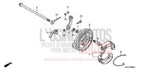 BREMSPLATTE, HINTEN CRF50FA de 2010